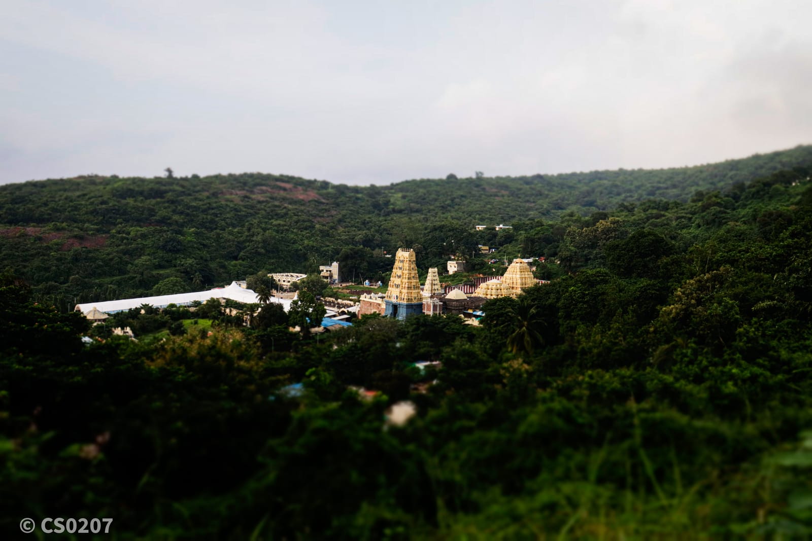 Simhachalam Temple gopuram and hilltop complex in Visakhapatnam, Andhra Pradesh